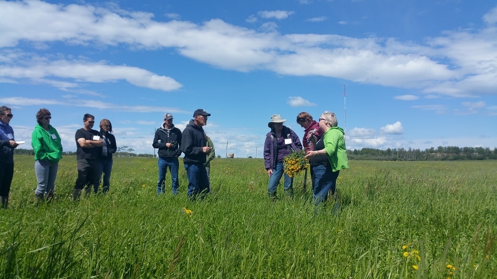 Peace River Forage Association Spring Tour and Info Session,