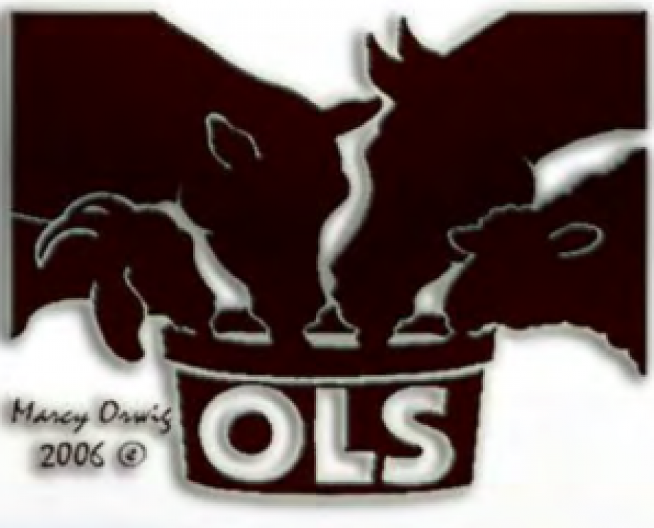 Introducing OLS Lick Tubs to our livestock feed product line!, 