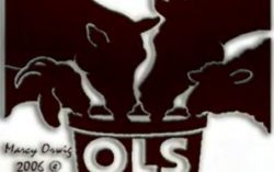 Introducing OLS Lick Tubs to our livestock feed product line!, 