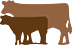 cow