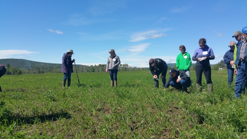 South Peace Grain Union Forage Crop Tour 2016